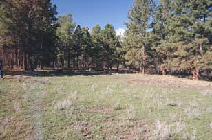 Colorado Hunting