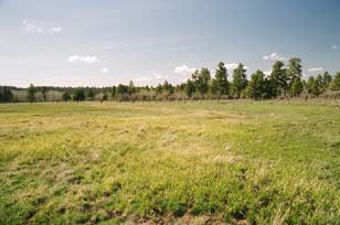 Colorado Ranch For Sale