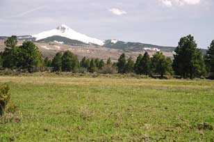 Colorado Vacant Land